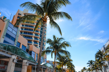 Fototapeta na wymiar Palmen vor einem Gebäude am Ocean Drive in Miami, Florida
