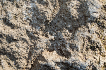 Texture of old stone photo in the sunlight