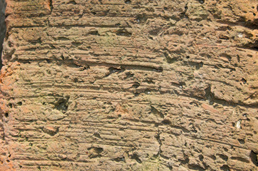 Texture of old stone photo in the sunlight