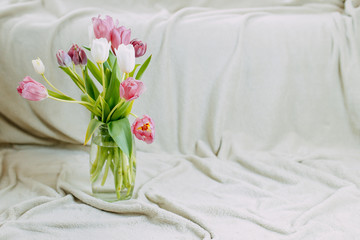 Spring flowers, bunch of tulips in the glass vase. White and pink tulips on beige plaid.
