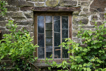 Fototapeta na wymiar old windows