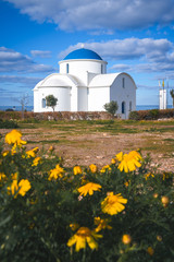 St Nicholas Church with beautiful wild flowers at the foreground in Paphos, Cyprus