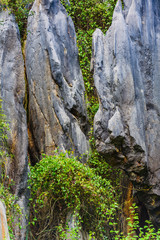 Incredible textures  in the Cabarceno nature park. Cantabria. Northern coast of Spain