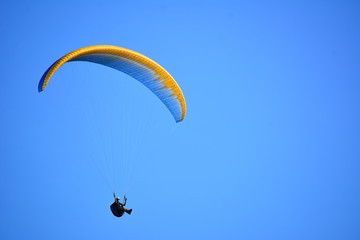 Paraglider