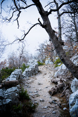 Melancholy landscape