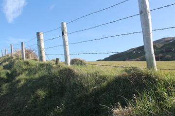 Fototapeta premium A fence on a grassy hill