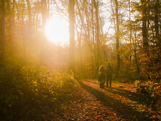 Obraz premium Paar bei Sonnenuntergang im Wald im Herbst