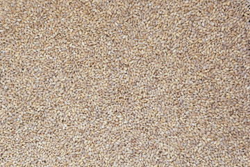 Top view of raw pearl barley as the background