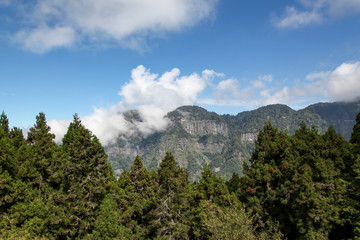 Fototapeta na wymiar The cloudy on mountain in alishan national park at taiwan