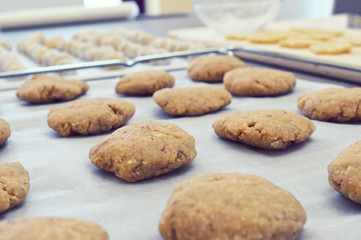 Fototapeta na wymiar preparing the shapes for homemade cookies