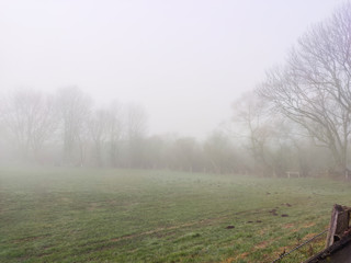 Obraz na płótnie Canvas Countryside foggy morning in North German isolated village