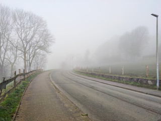 Mystic forest with rays of light shining through the fog between the trees