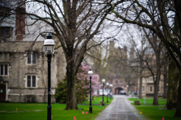 Coronavirus Stores Are closed Princeton