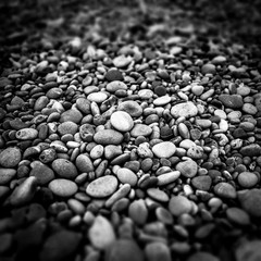 pebbles on the beach in black and white