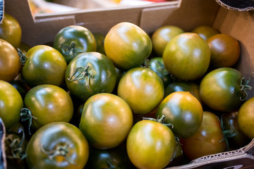 Quapaw Green tomatoes for sale on farmers market stall