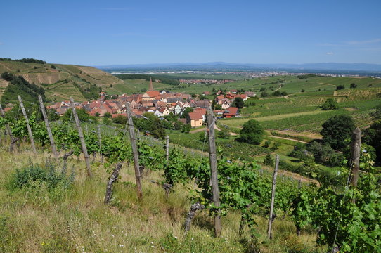 Niedermorschwihr