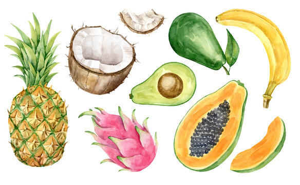Beautiful watercolor tropical fruits set. Bright exotic fruits. Vegans food. Banana, coconut, papaya, pineapple, pitaya, avocado.