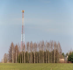Metallic telecommunications tower in a forest