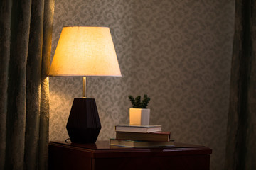 light lapm with plant on dark room