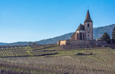 riquewihr alsace vineyards