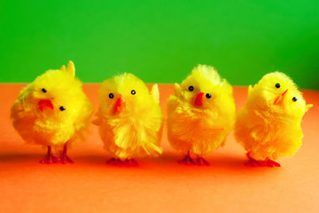 Easter or spring card. Decorative yellow chickens are hardly on a double orange and green contrasting background with copy space. Greeting card. Easter. Spring