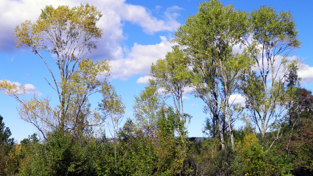 Early autumn and landscapes in the Istrian peninsula - Buzet, Croatia (Rana jesen i pejzazi u unutrasnjosti poluotoka Istre - Buzet, Hrvatska)