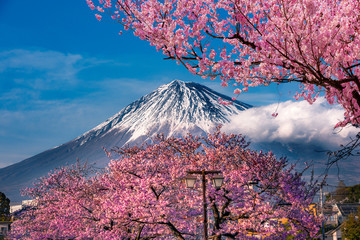 Mt Fuji and Cherry Blossom in Japan Spring Season.