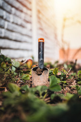 Garden shovel in flower bed. Gaden shovel close up.