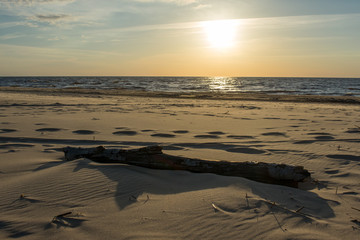 Fototapeta na wymiar Log on the beach in sunset.