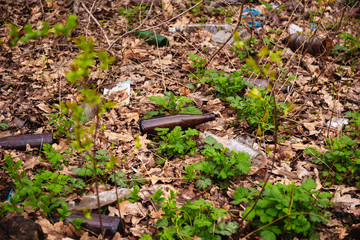 Rubbish left in the forest by holidaymakers