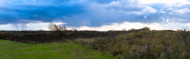 Panoramic landscape dutch nature