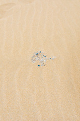 sea landscapes on the Mediterranean coast on summer days