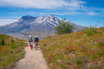 Fototapeta premium Harry's Ridge Trail, Johnston ridge observatory, Mt St. Helens, South Cascades in Washington State, USA