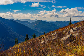 Granite mountain trail, Snoqualmie region, Washington