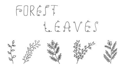Obraz premium Forest leaf hand drawn vector. Set leaves. autumnal garden leaf Isolated on white background. Botanical forest plants or september october tree foliage