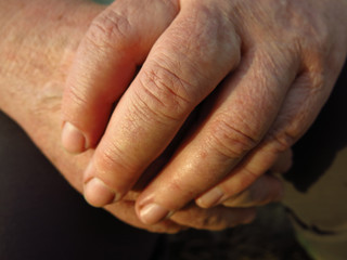 Fototapeta premium old woman's hands close up