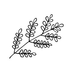 Forest leaves hand drawn vector. autumnal garden leaf Isolated on white background. Botanical forest plants or september october tree foliage