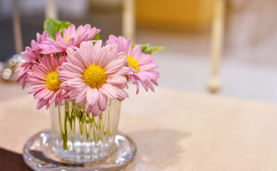 Beautiful pink flowers in vase.Gerbera flowers on the vase, isolated white background..Bouquet of beautiful fresh Gerbera flower in glass on the table with sunlight background.