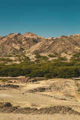 road in the desert