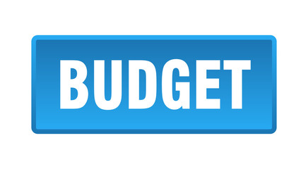 budget button. budget square blue push button