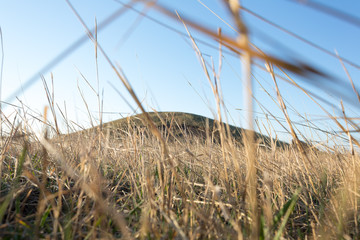 Obraz premium The tomb hill from the bottom view