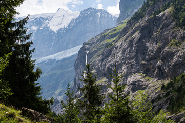 Obraz premium Grindelwald alps Swiss