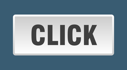 click button. click square white push button
