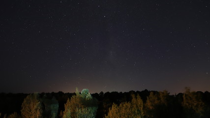 noche estrellada bosque