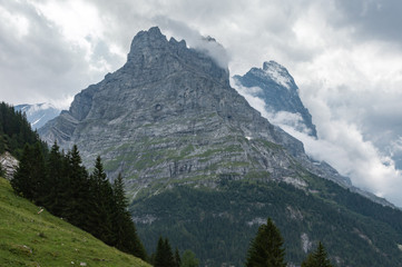 Grindelwald Eiger Mountain
