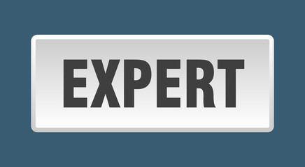 expert button. expert square white push button