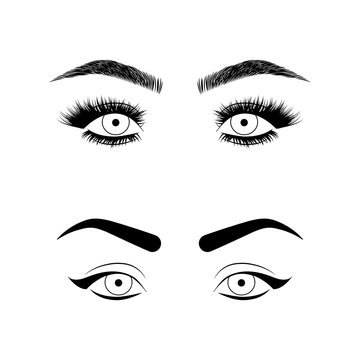 Eyebrows and eyelashes illustration for beauty salon