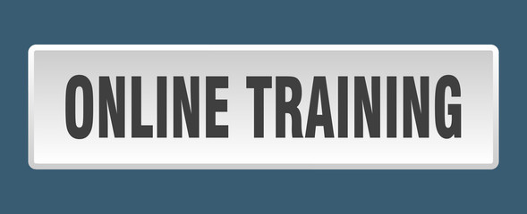 online training button. online training square white push button