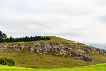 Fototapeta na wymiar elephant rock in New Zealand