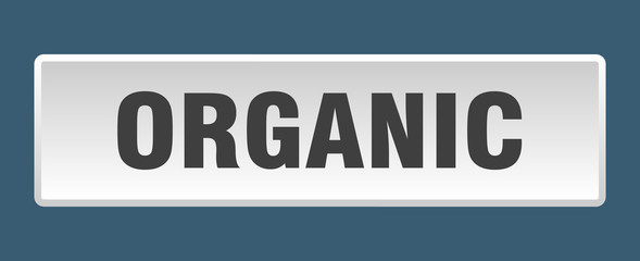 organic button. organic square white push button